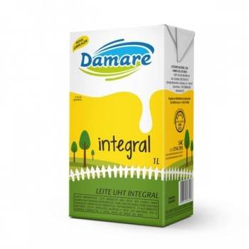LEITE L VIDA DAMARE 1L INTEGRAL