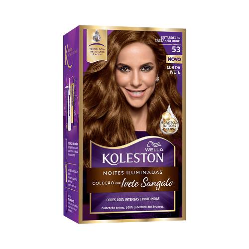 TINT KOLESTON NOITE IL 53 CASTANHO